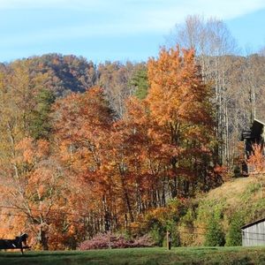 Meet your Posher, Adele